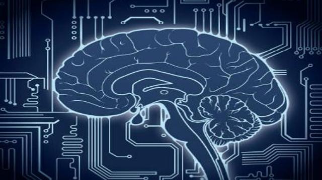 網(wǎng)紅送餐機(jī)器人 智能表象下的“無人”困境與自動(dòng)駕駛的深層挑戰(zhàn)